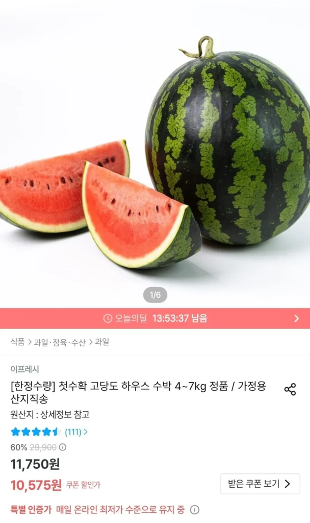 Thu hoạch lần đầu dưa hấu nhiều đường 6~7kg chính hãng