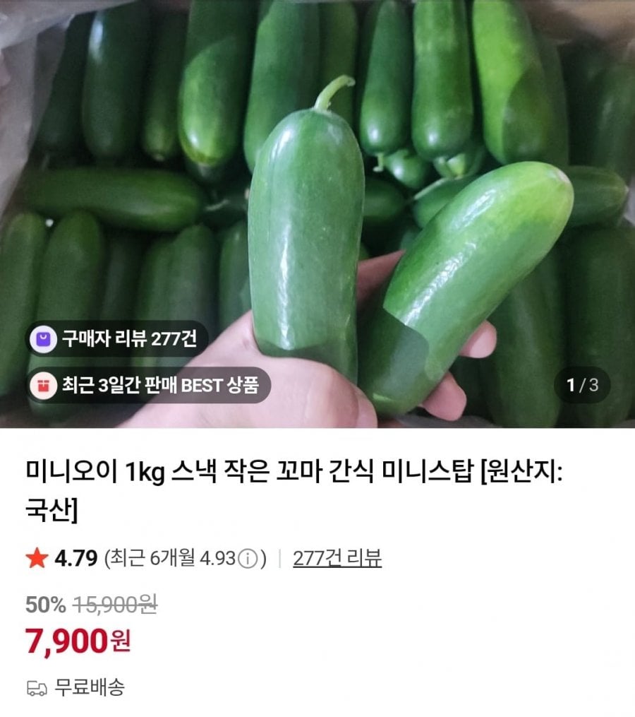 Dưa chuột mini 1kg