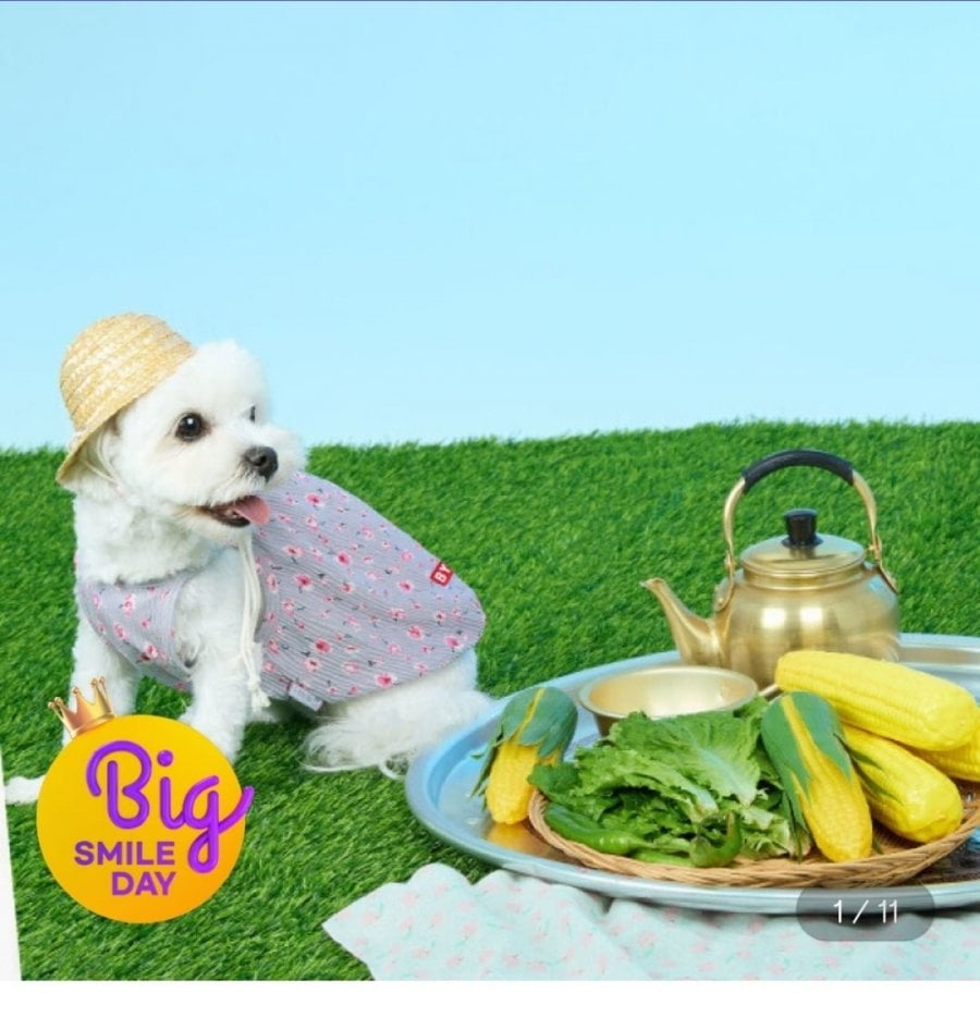 Quần áo chó không tay hoa BYC Gariyas Bà nội
