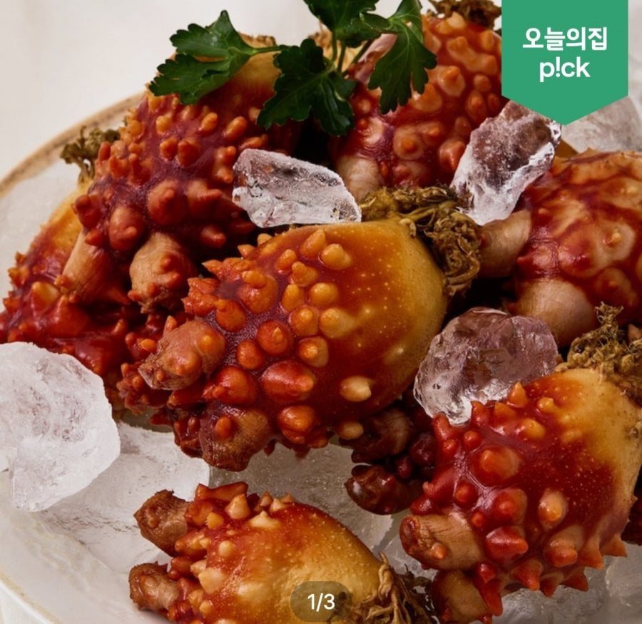 Mực biển sống Tongyeong 26 tuổi, 2kg, 14-24 miếng, v.v.