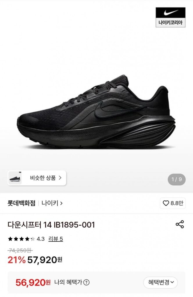 Nike Downshifter 14 IB1895-001