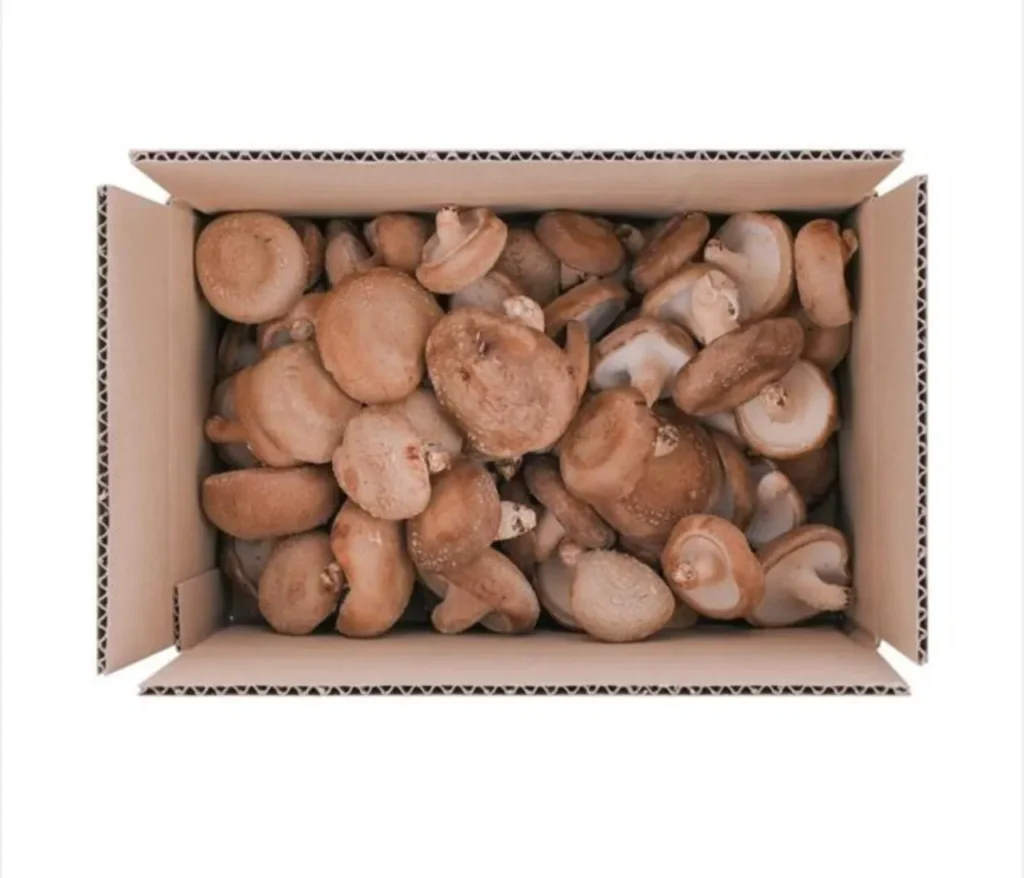 1 kg nấm hương xấu xí