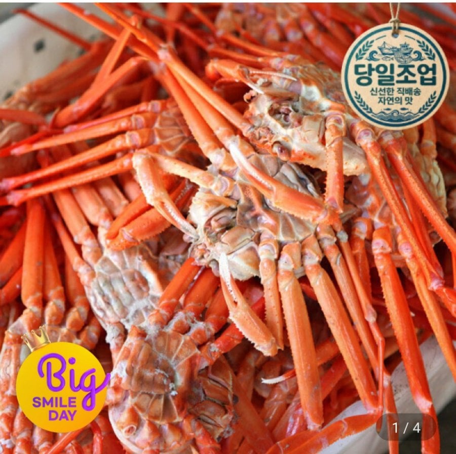 Cua đỏ luộc 6kg