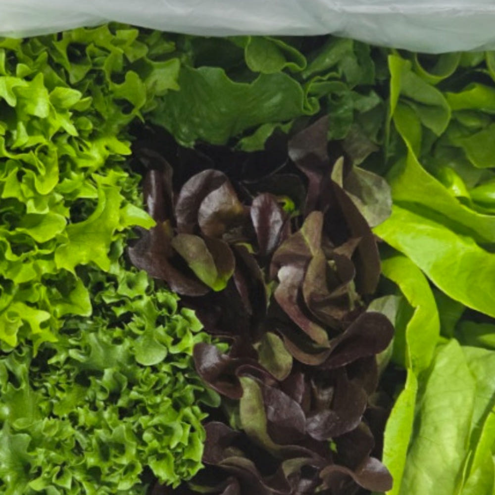 [Naver] Salad Châu Âu 1kg (6.500KRW/tặng)