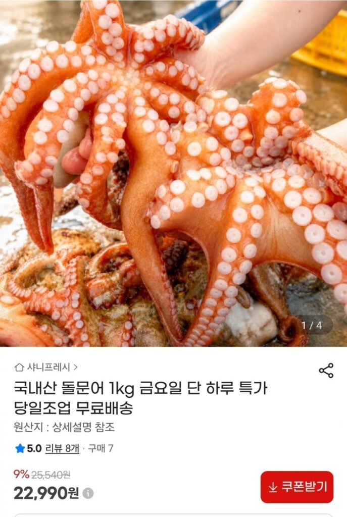 bạch tuộc đá 1kg