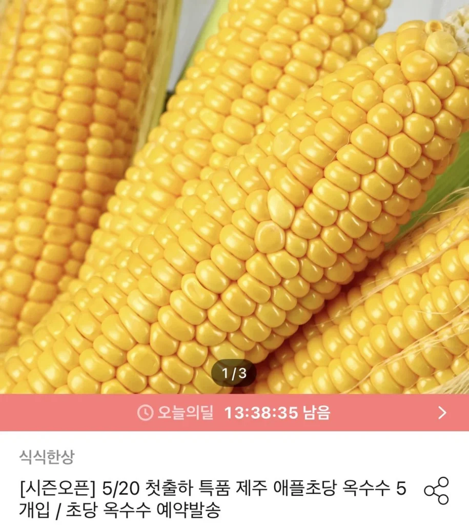 [Giao hàng đặt trước] Lô hàng đầu tiên vào ngày 18/5 Jeju giống mới Apple Chodang ngô đặc biệt 5 miếng và ngô Chodang