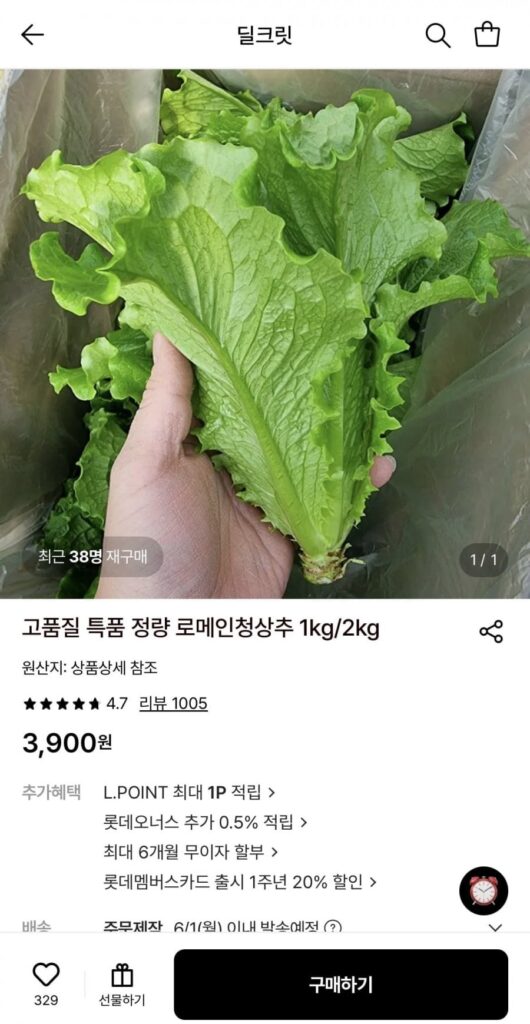 1 kg xà lách romaine xanh