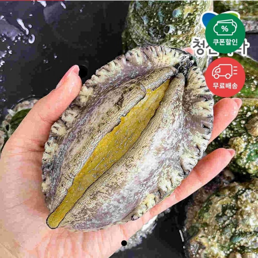 2 miếng bào ngư 6-7 miếng (1kg)