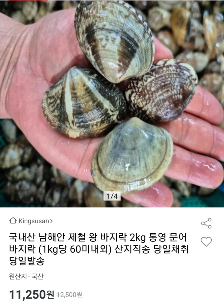 Bạch tuộc nội địa South Coast, khoảng 2 kg và khoảng 120 con