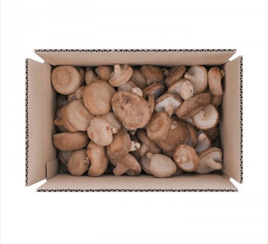 Nấm hương xấu xí 1kg