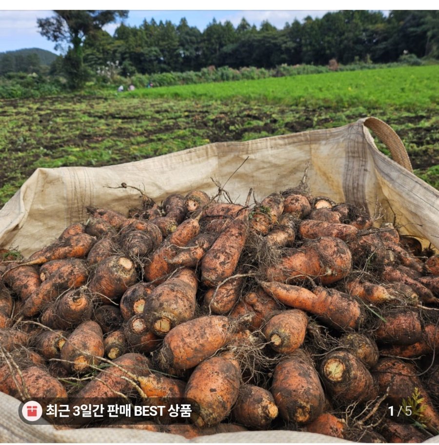 5kg cà rốt tươi trộn