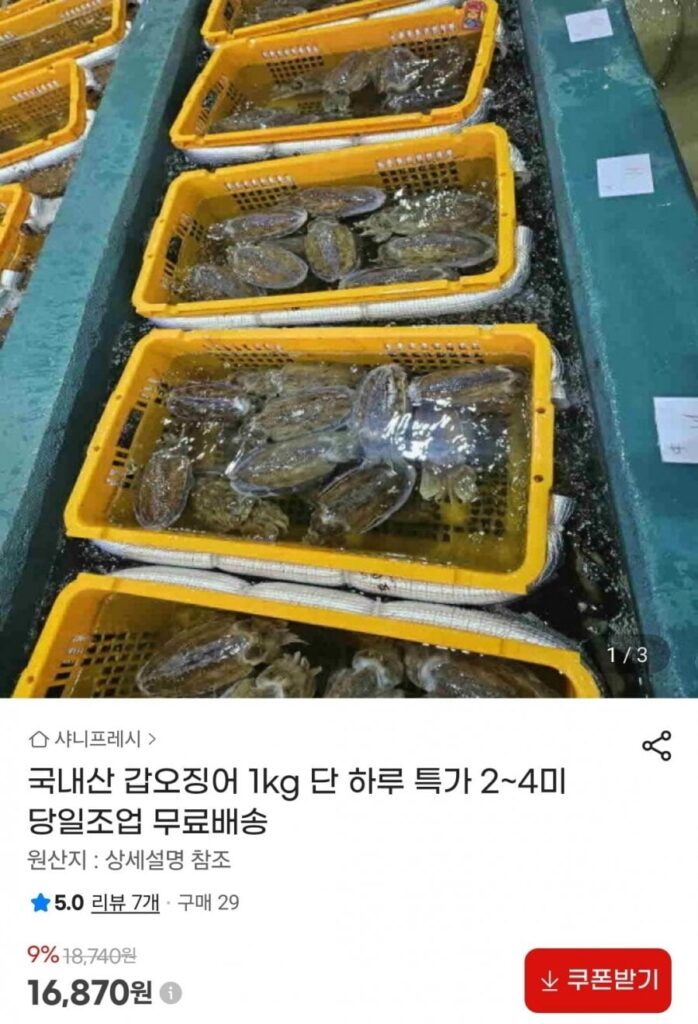 1 kg mực nang nội địa