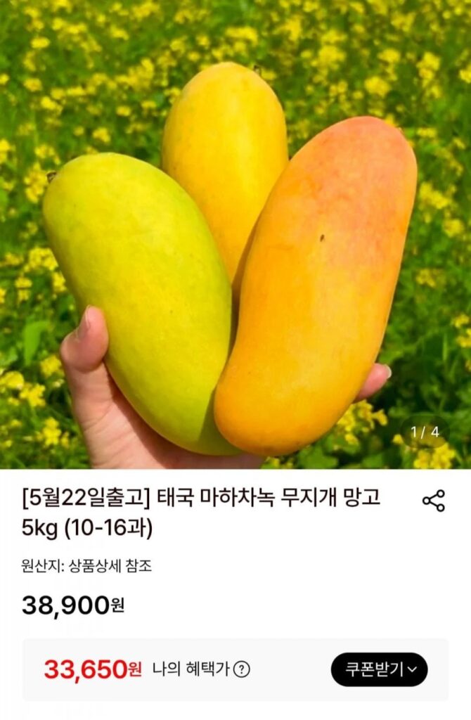 Xoài cầu vồng Mahachanok Thái 5kg (10-16 quả)