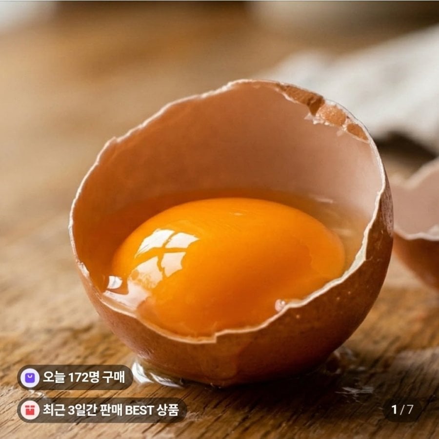 Vỏ trứng số 1 Trứng được thụ tinh, trứng không chứa kháng sinh