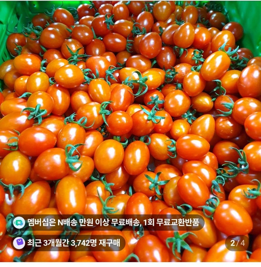 Cà chua bi táo tàu Royal và 1kg