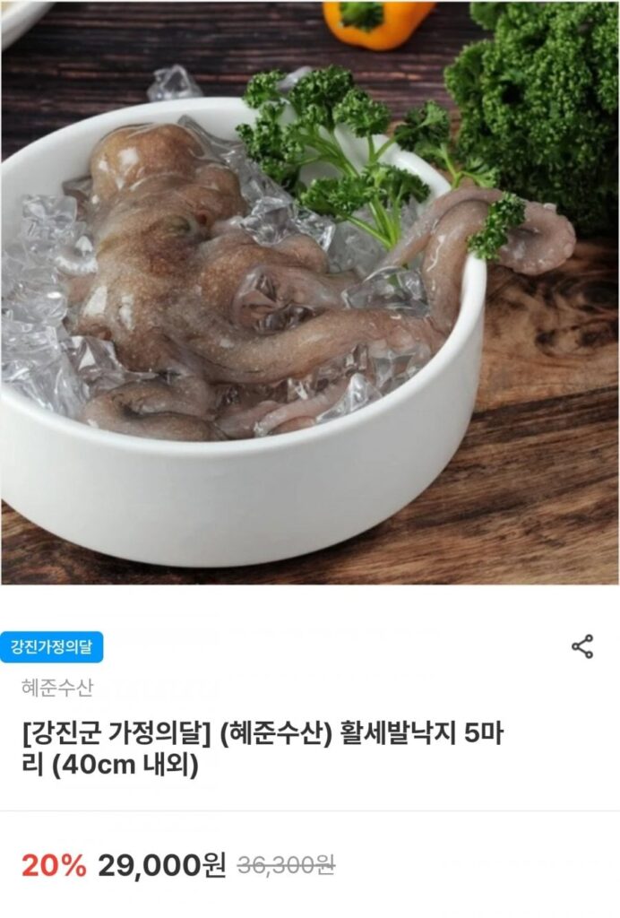 5 miếng bạch tuộc sống