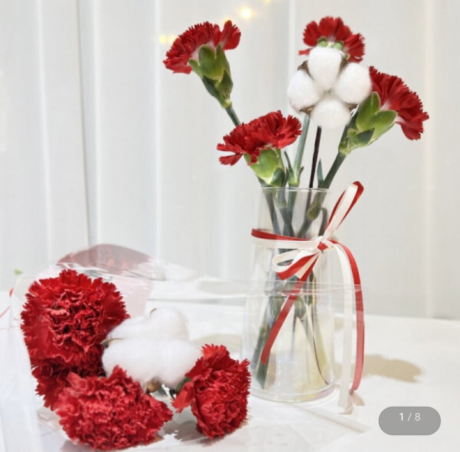 4 bông hoa cẩm chướng tươi + 1 bông hoa bông