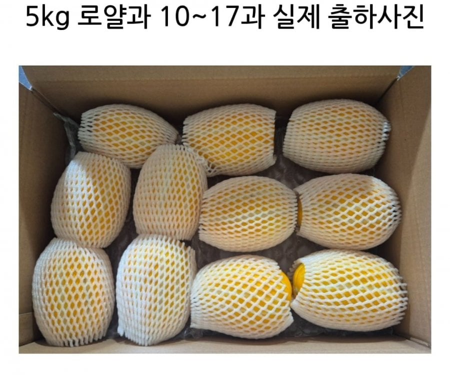 Dưa lưới mật ong Seongju 5kg