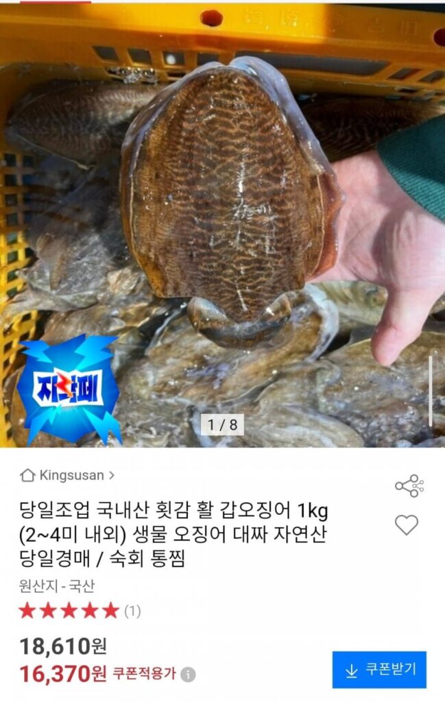 Câu cá trong ngày: 1 kg mực nang sống sản xuất trong nước (khoảng 2-4 con)