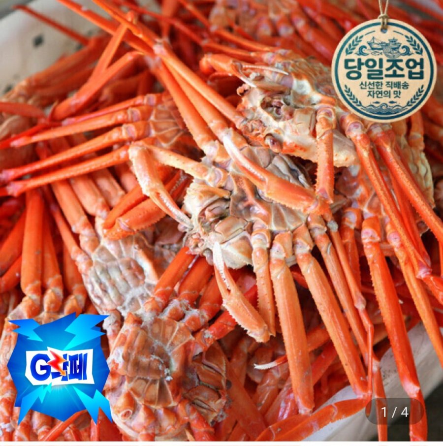 6kg cua đỏ luộc