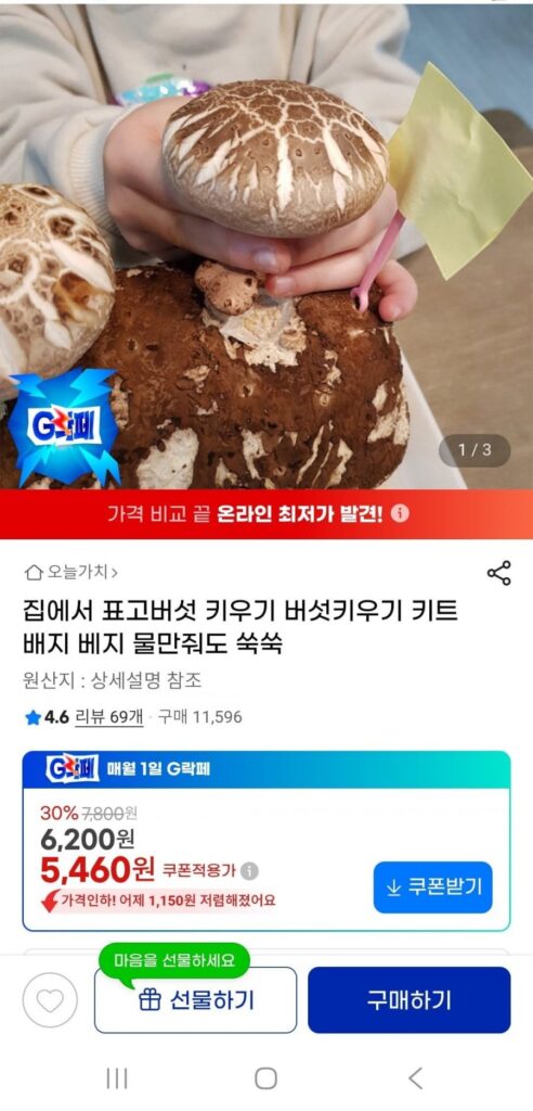 Bộ dụng cụ trồng nấm Shiitake