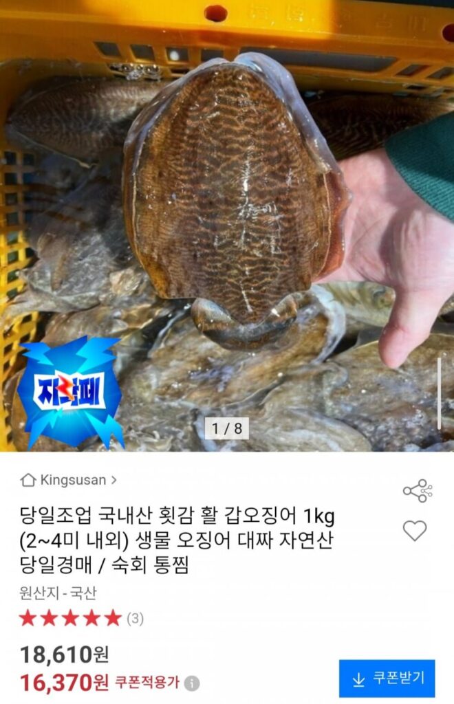 Câu cá trong ngày: 1 kg mực nang sống sản xuất trong nước (khoảng 2-4 con)
