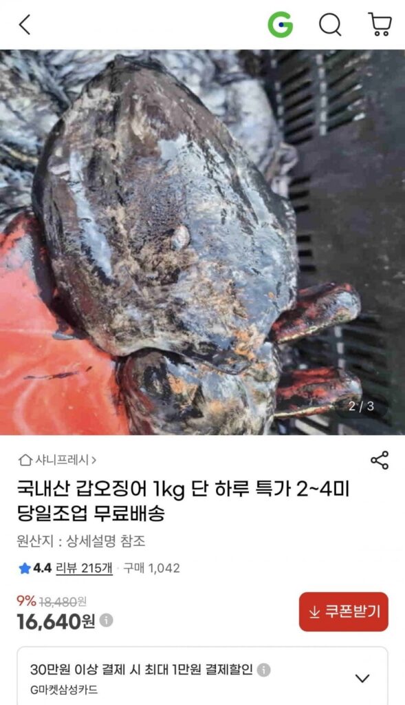 1 kg mực nang nội địa
