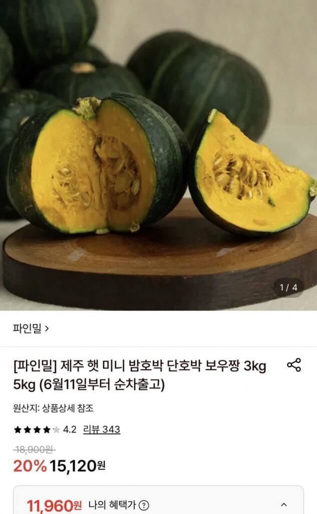 Mũ bí đỏ mini Jeju Hat 3kg