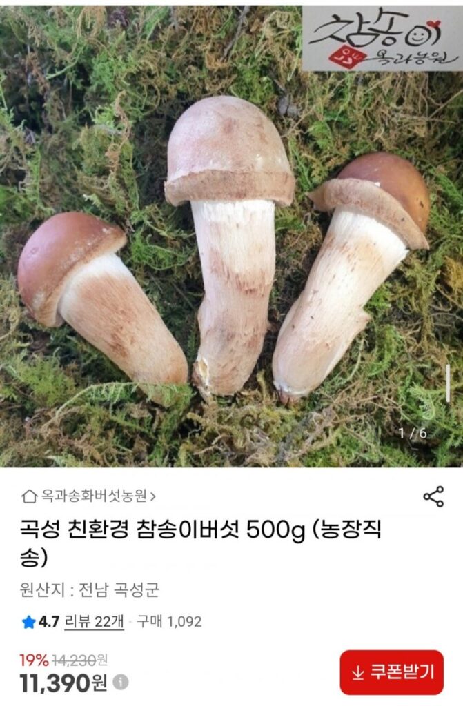 Nấm sò thân thiện với môi trường Gokseong 500g (giao trực tiếp từ trang trại)