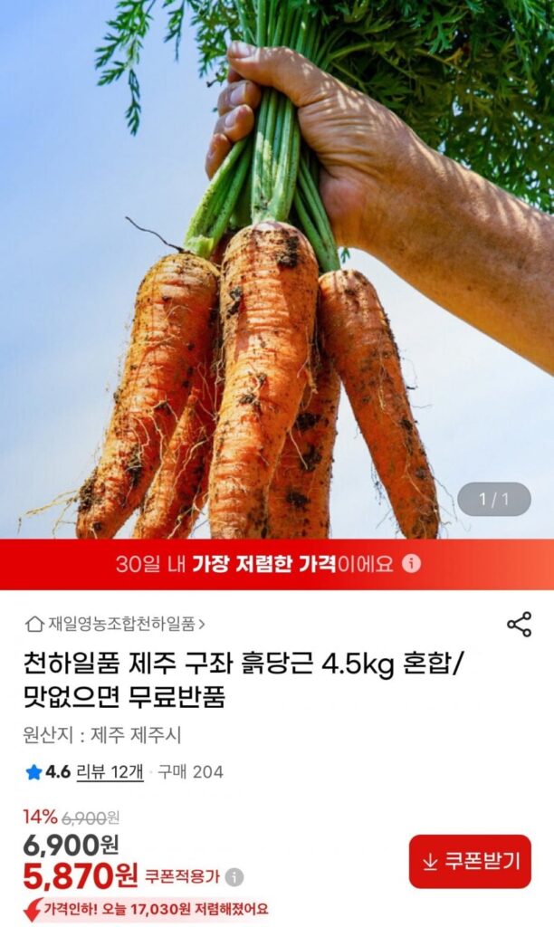 Cà rốt đất sét Jeju Gujwa ngon nhất thế giới 4,5kg hỗn hợp