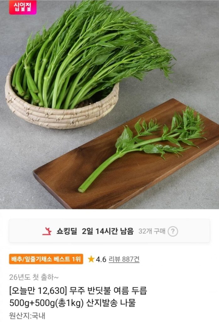 Muju Firefly Summer Aralia 500g+500g Tổng 1kg