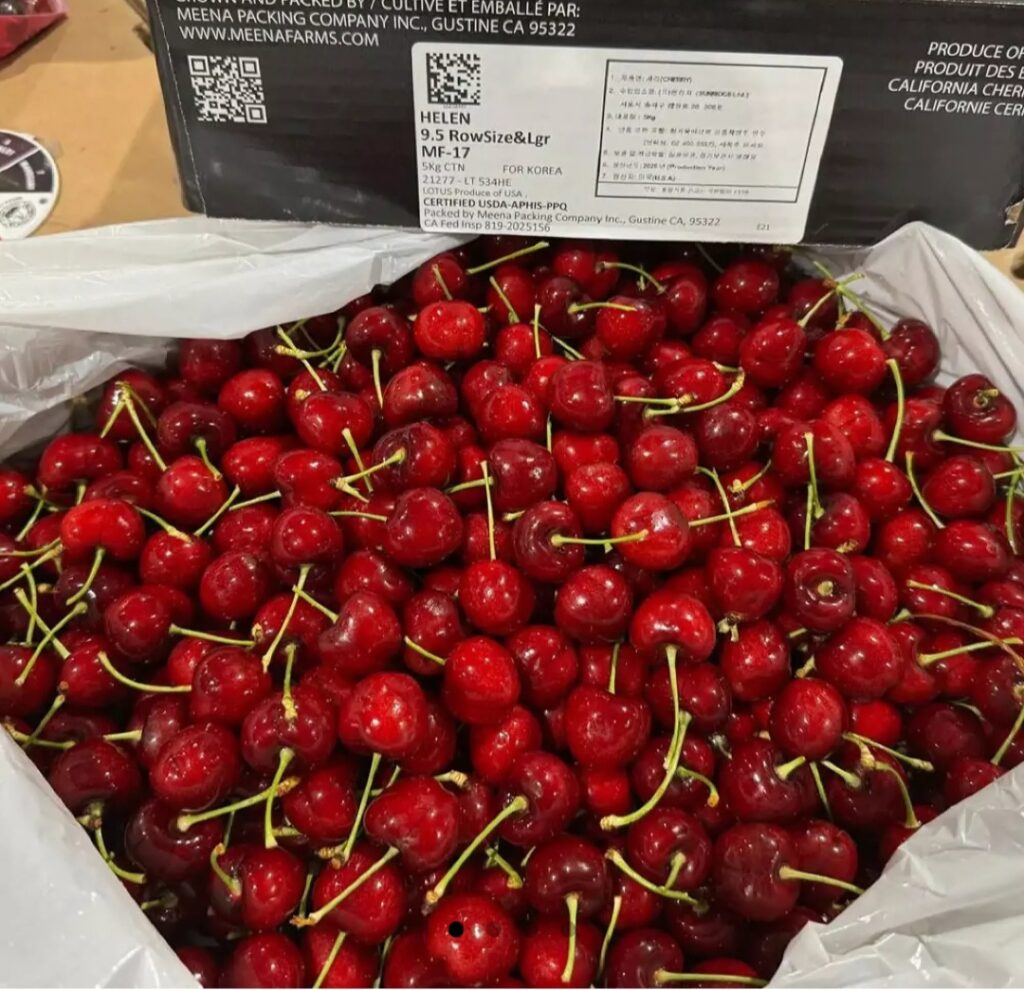 [thứ 11] Công nghệ sinh học Washington 10R quả lớn 900g 2 gói