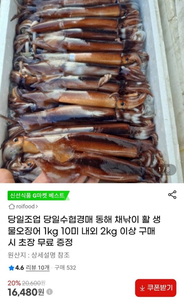 Câu mực sống biển Đông khoảng 1kg (khoảng 10kg)