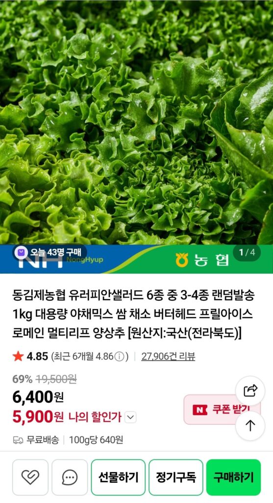 Salad Âu 1kg 3~4 loại