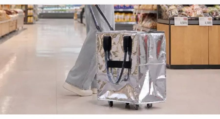 Xe lăn túi Rolly xe đẩy mua sắm gấp