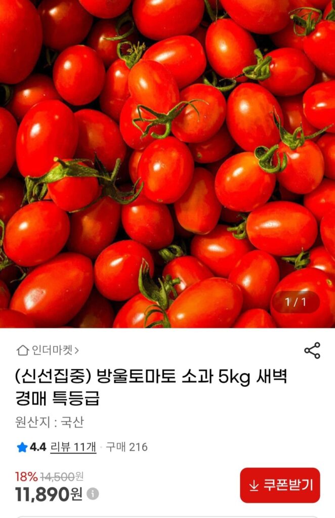 5kg cà chua bi