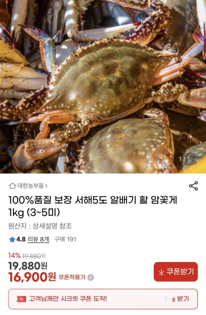 Cua cái 5 đô biển Tây sống 1kg (3-5 con)
