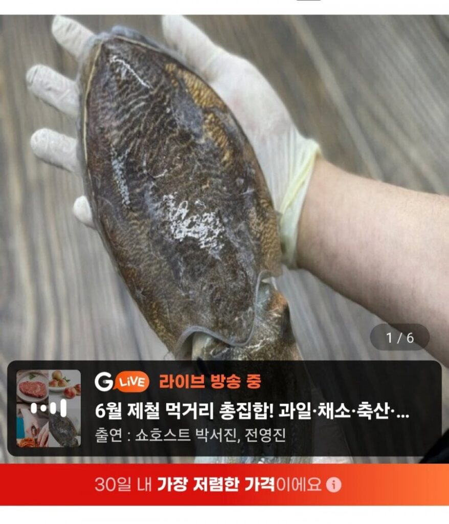 Mực nang biển Tây, size vừa 1kg, 2-4 con