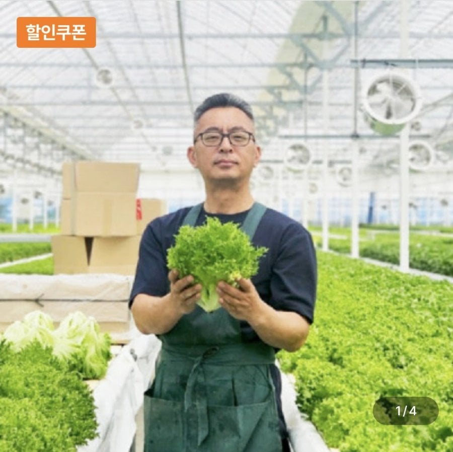 Salad Âu 1kg