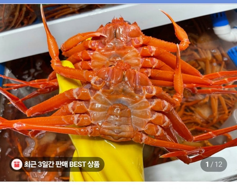 Cua đỏ luộc 4kg+4kg