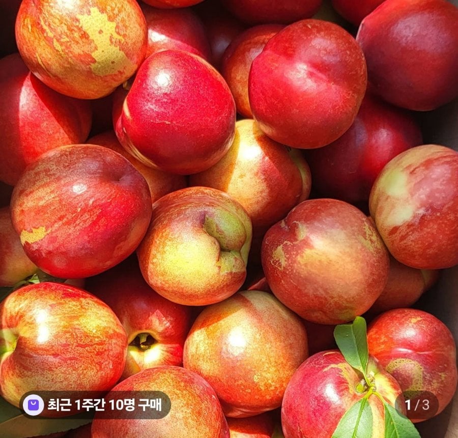 5kg đào bí hỗn hợp