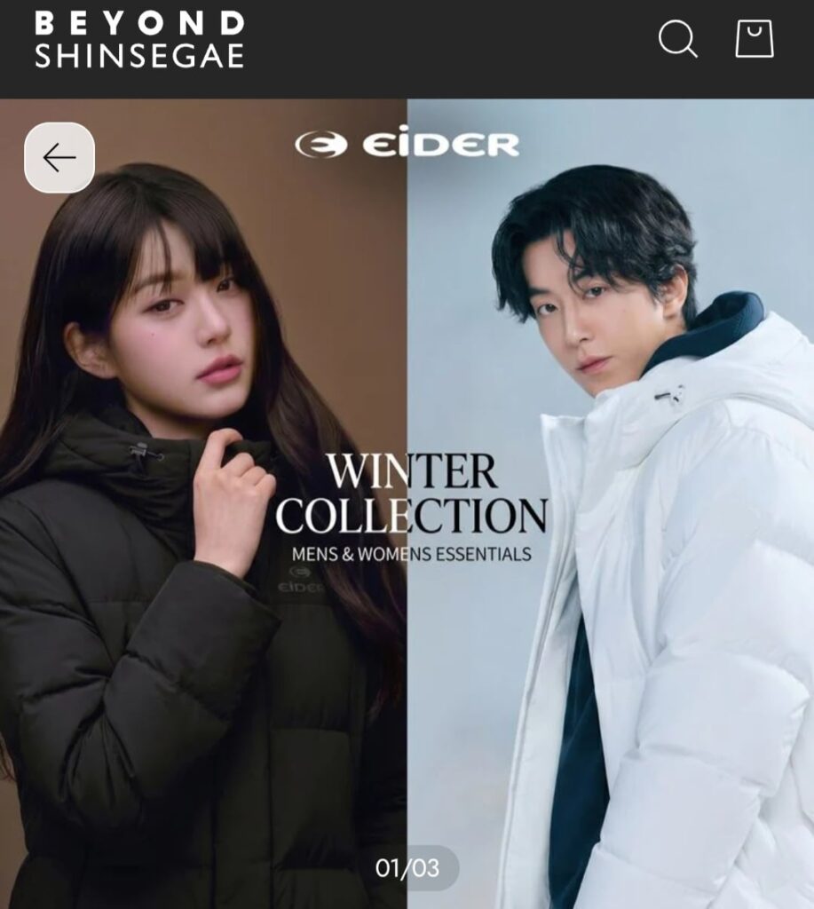 [SSG] Eider Sterol Windstopper L mọi thời đại (Samka 158.000 Won / Miễn phí vận chuyển)
