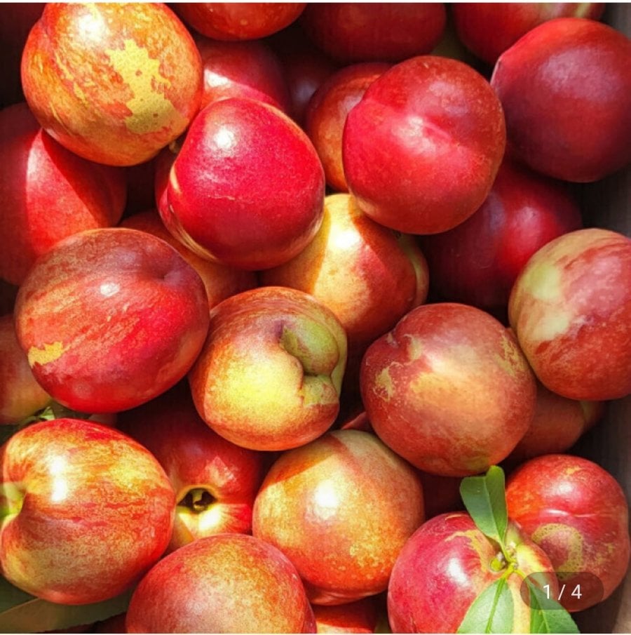 Trọng lượng tịnh của Shinbi Peach khoảng 5kg
