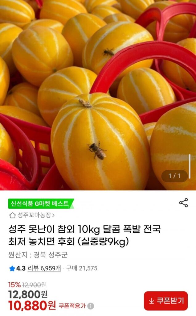 Quả dưa xấu xí Seongju 10kg (trọng lượng tịnh 9kg)