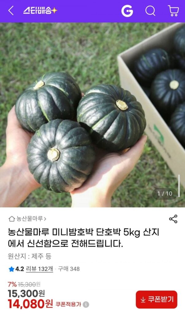 Sản xuất Bí ngô hạt dẻ mini Maru 5kg
