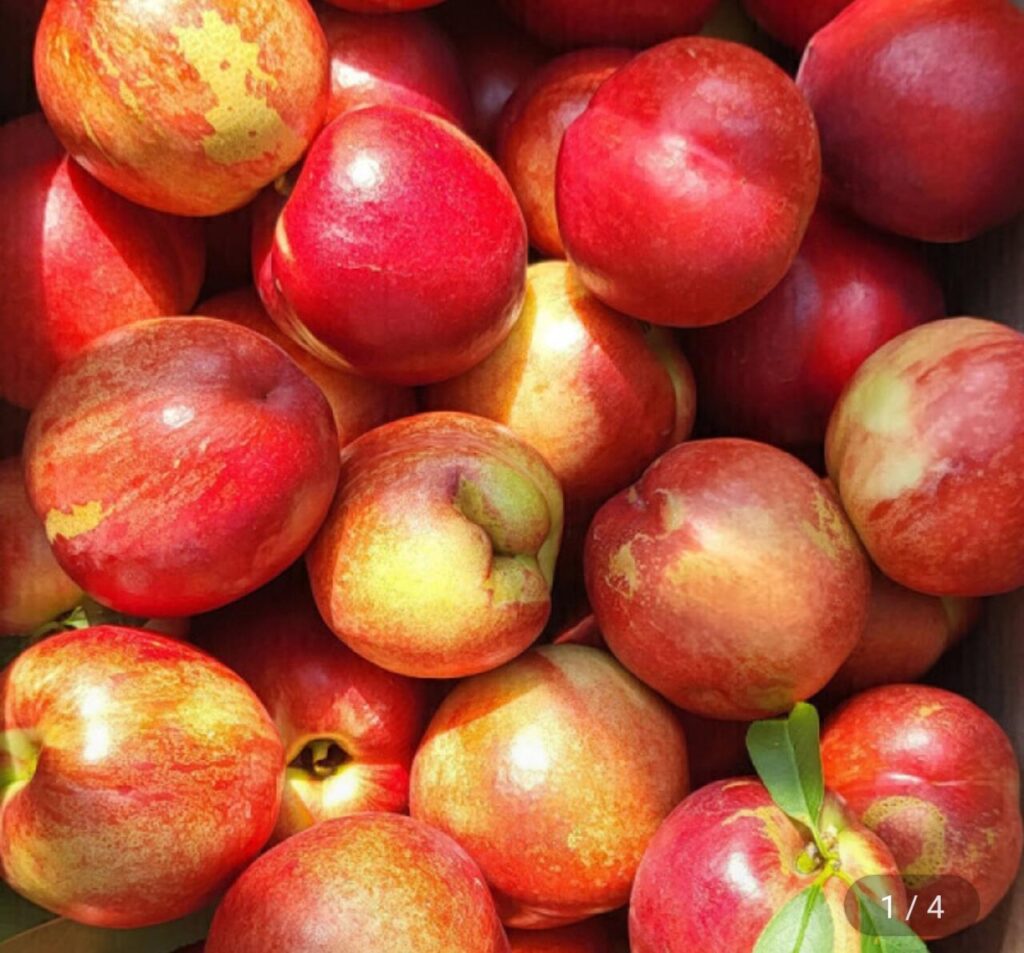 Đào Shinbi, trọng lượng tịnh khoảng 5kg (50~80 quả)