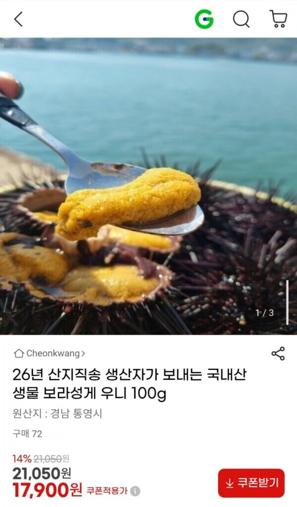 26 Năm Giao Hàng Trực Tiếp Sống Trong Nhà Nhím Biển Tím Uni 100g