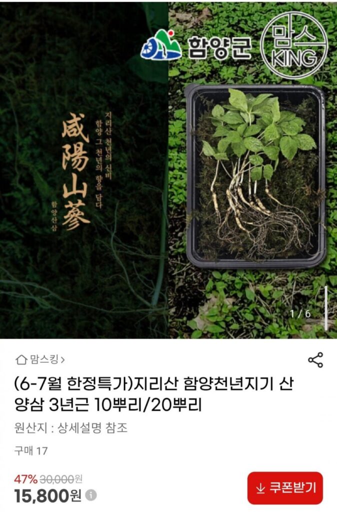 10 củ sâm rừng 3 năm tuổi ở núi Jiri, Hamyang Millennium