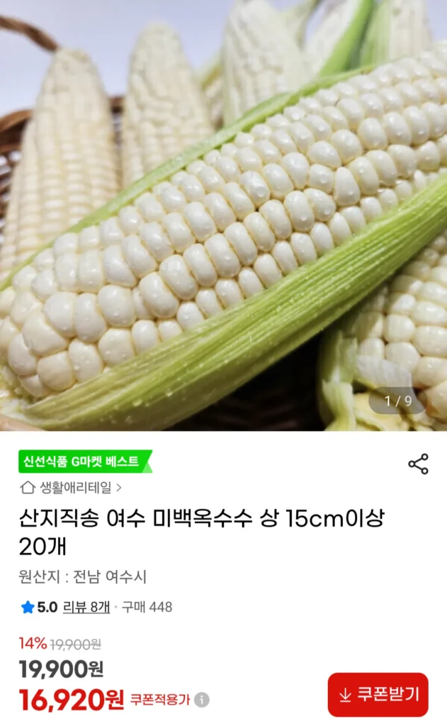 Ngô trắng Yeosu, 20 miếng dài trên 15cm