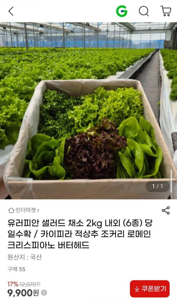 Salad rau củ Âu 2kg, 6 loại